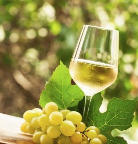 How To Grow Grapes For Home Winemaking