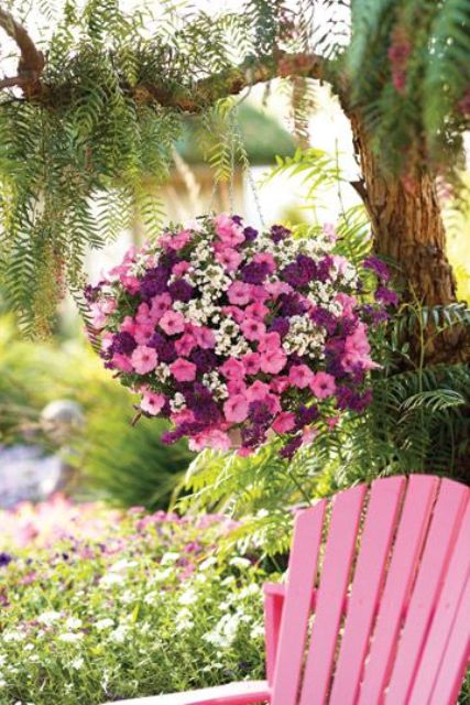 How To Grow Petunias That Will Bloom All Summer