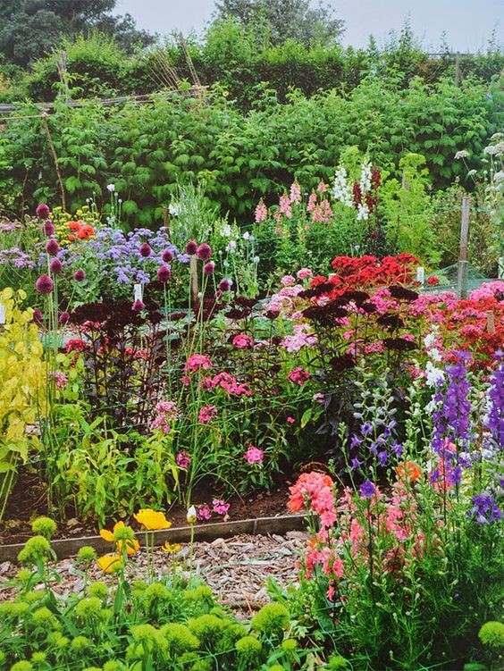 How To Grow Your Own Cutting Garden
