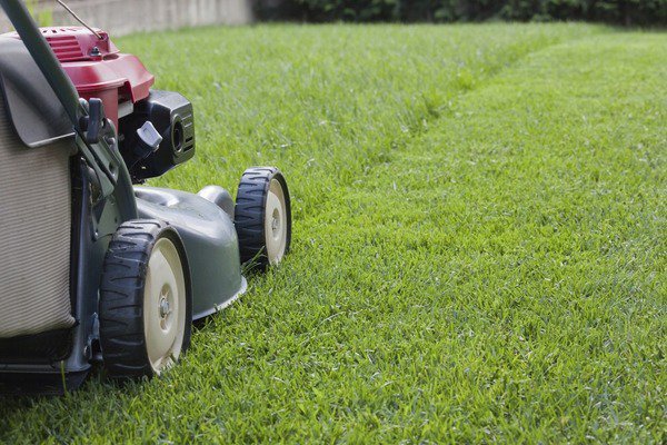 how to keep the perfect lawn garden design ideas weed control