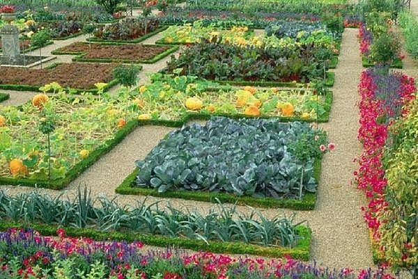 how to plan vegetable garden design ideas tips