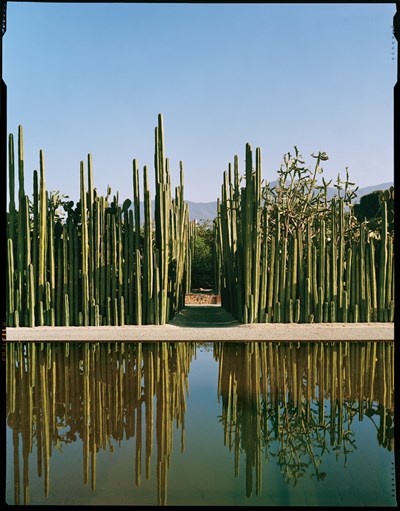 Photos of Jardin Etnobotanico de Oaxaca
Jardin Etnobotanico de Oaxaca
, 