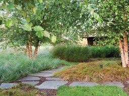 Growing Green in Pennsylvania
Jonathan Alderson Landscape Architects Inc.
Wayne, PA