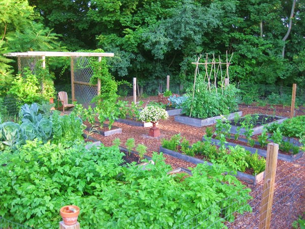 Creating a Raised Bed Garden
Kevin Lee Jacobs
, 