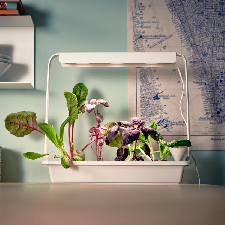 Krydda/Växer Kit For Indoor Gardening By IKEA