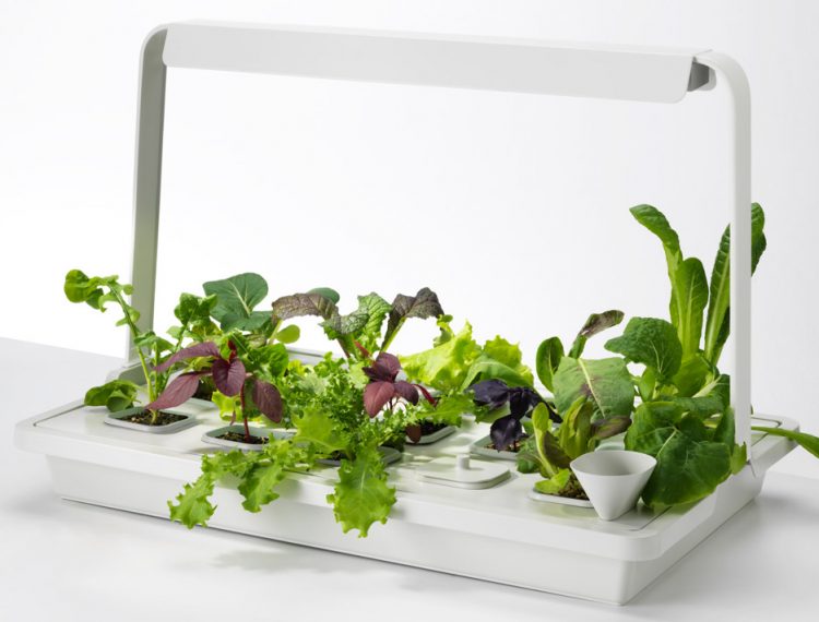 Krydda/Växer Kit For Indoor Gardening By IKEA