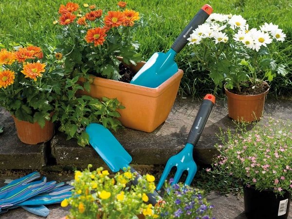 lawn care tips garden landscaping 