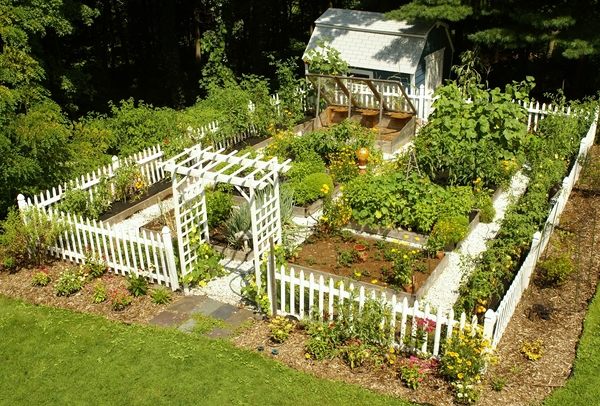 lovely vegetable gardens white fence wooden pergola 