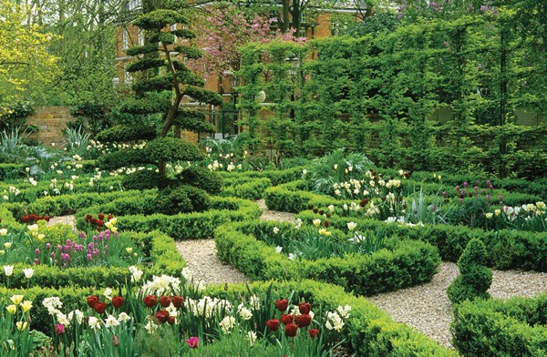 Glorious Hedges
Lynne Marcus Garden Design
London, UK