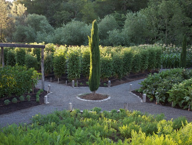 An Organic Kitchen Garden
MIX Garden
Healdsburg, CA