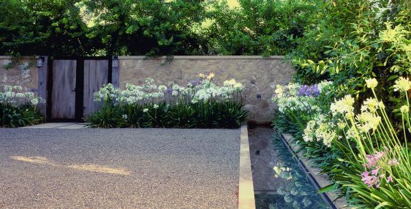 modern landscape design gravel and water and flowers border