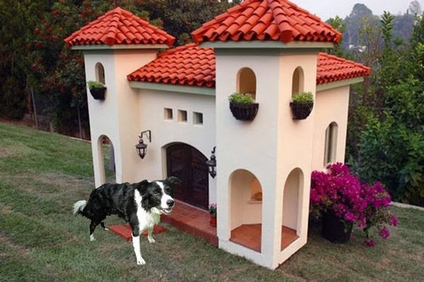 modern luxury pet house dog mediterranean villa style