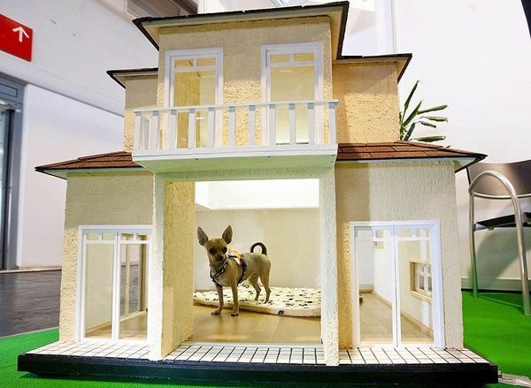 modern luxury dog house two storey house
