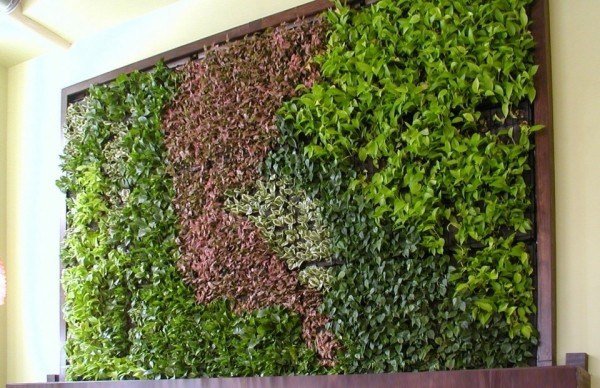 multiple colors green wall vertical garden ideas