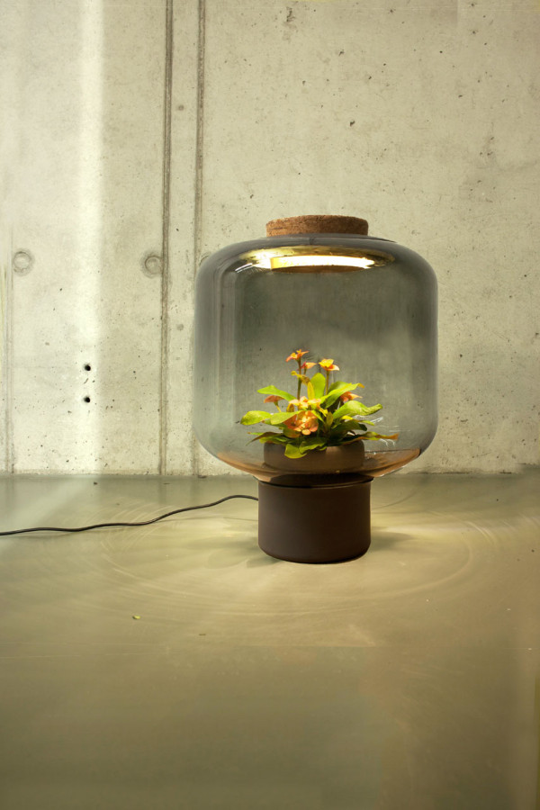 Mydgal Ecosystem For Growing Plants Indoors