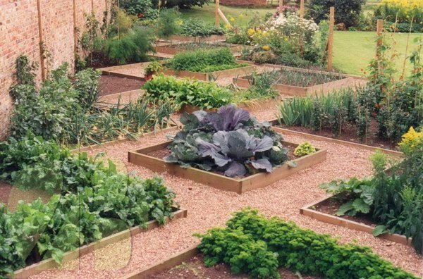 ornamental vegetable garden design gravel paths