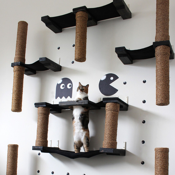 A PacMan inspired cat housing complex
