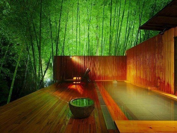 plants for a japanese style garden bamboo garden ideas 