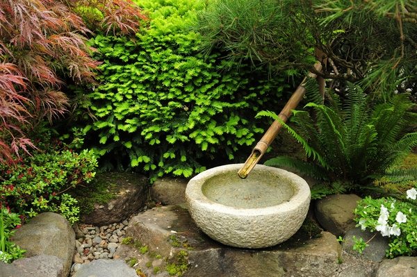 plants for a japanese style garden zen garden design ideas bamboo