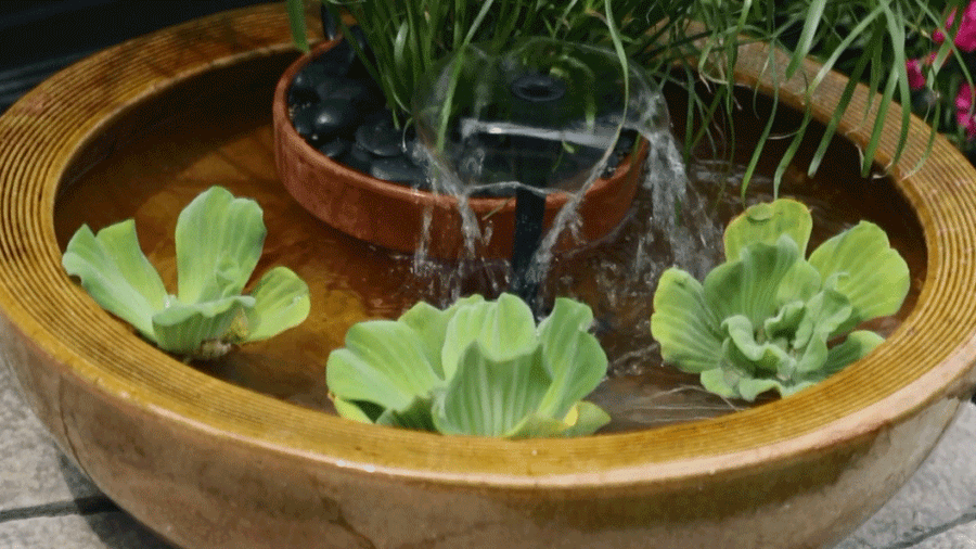 Create a Container Water Feature