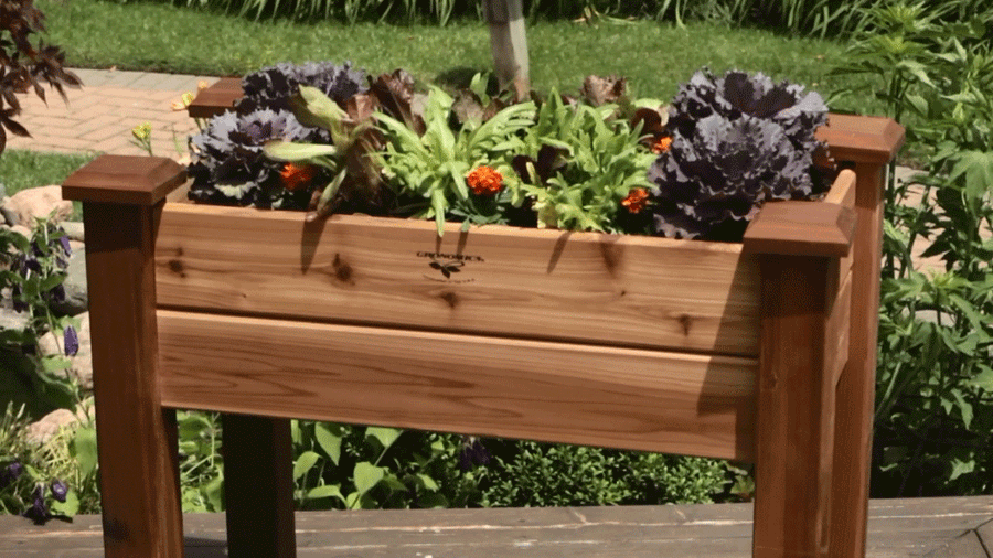 The Secret to Growing a Container Vegetable Garden
