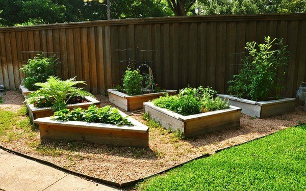 raised garden beds small garden landscape ideas