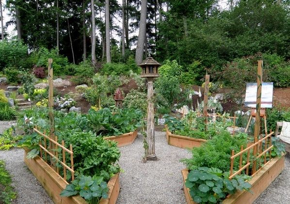 raised garden beds vegetable garden plans birdhouse