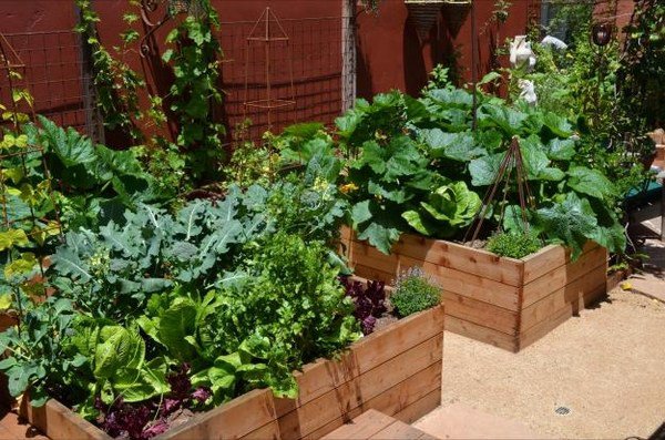raised vegetable beds ideas patio garden ideas home gardening