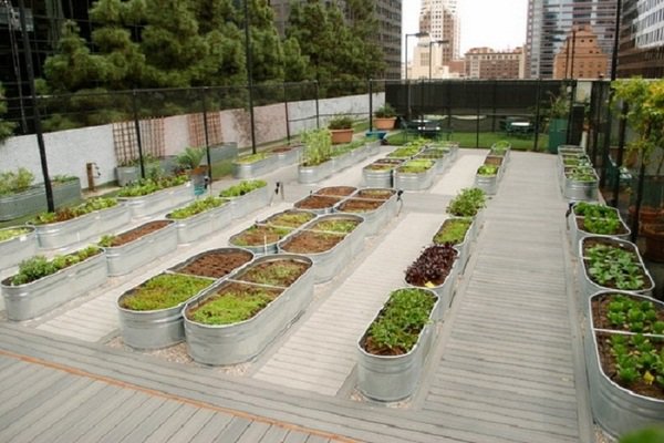 raised vegetable garden patio garden ideas metal containers