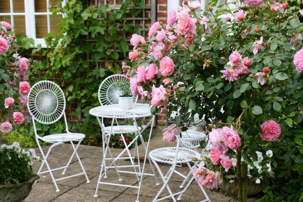 romantic cottage garden design ideas rose shrubs metal garden furniture