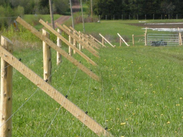 slanted deer fence deer fence posts deer fence height