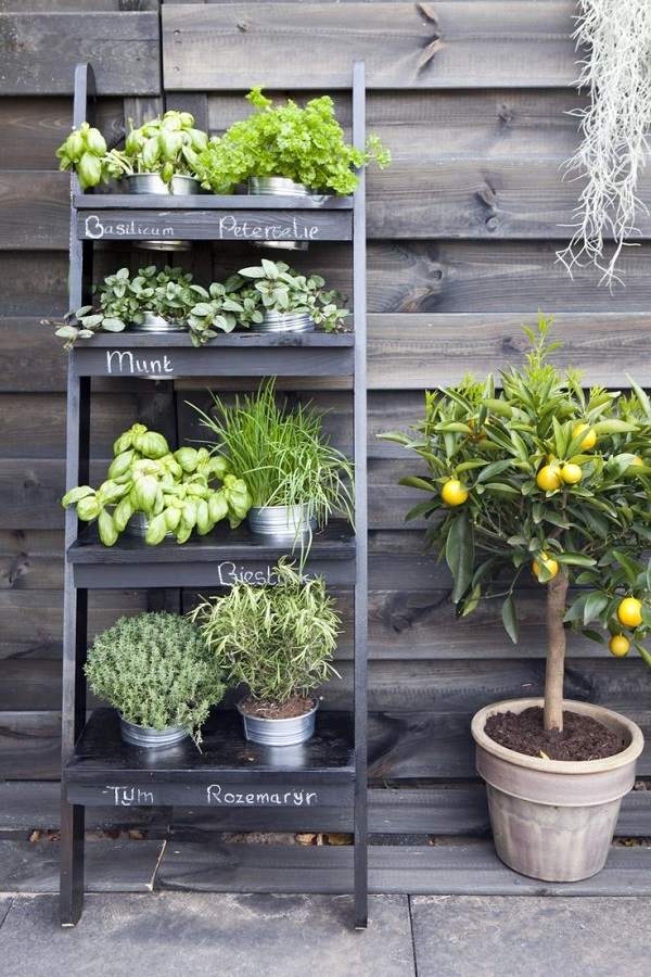 small herb garden design deas vertical garden DIY ladder