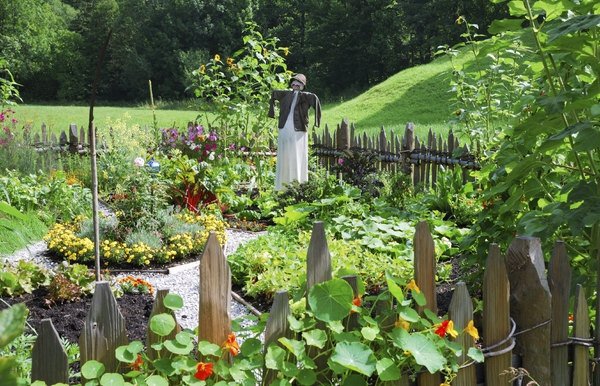 small vegetable garden design ideas wooden fence scarecrow
