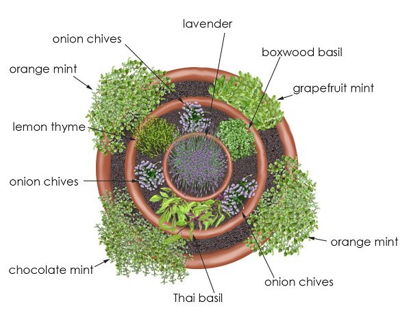 spiral herb garden design ideas small herb garden patio landscape 