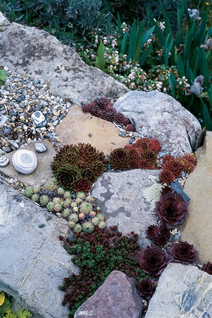 Stone Wall, Sempervivum, Sedum
Garden Design
Calimesa, CA