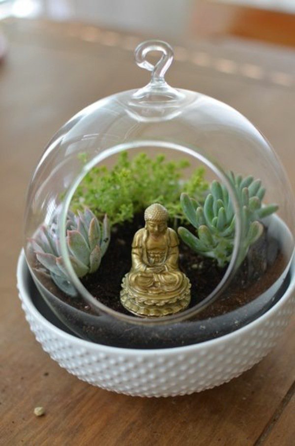 terrarium succulent plants glass vessels Buddha statue