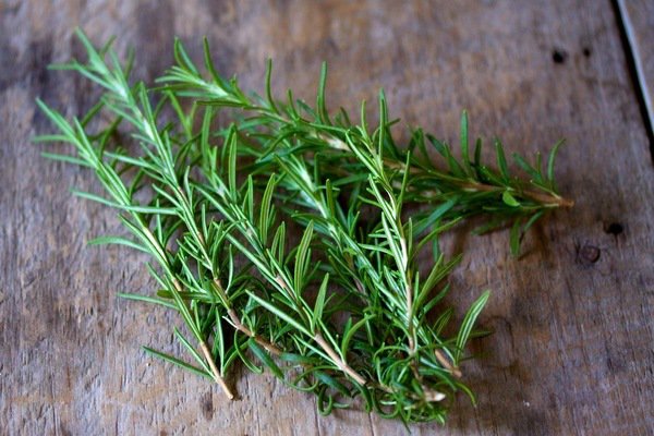 top herbs to grow at home rosemary herb garden