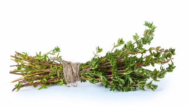 top herbs to grow at home thyme herb garden design ideas 