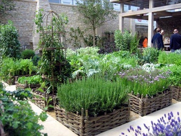 vegetable garden design ideas clever raised beds