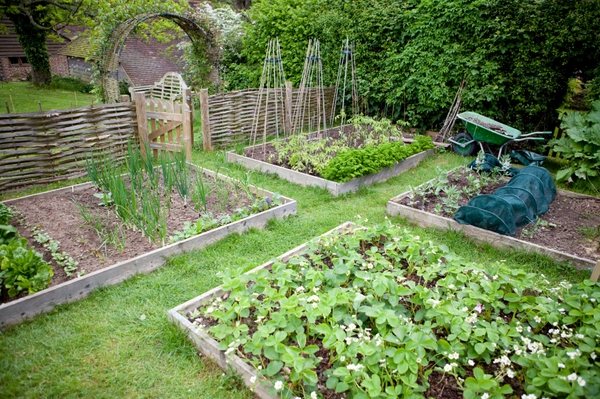 vegetable garden ideas wooden garden fence ideas