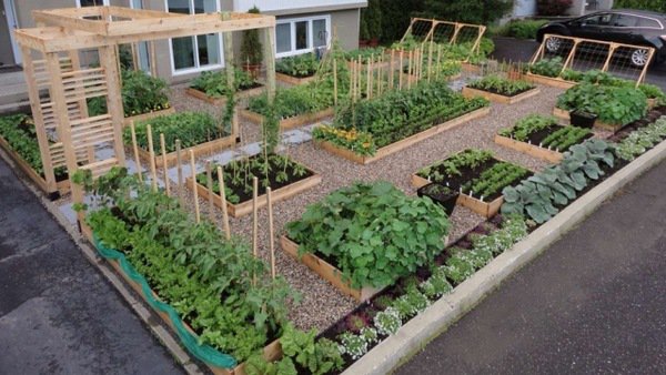 vegetable garden plan raised beds wooden pergola