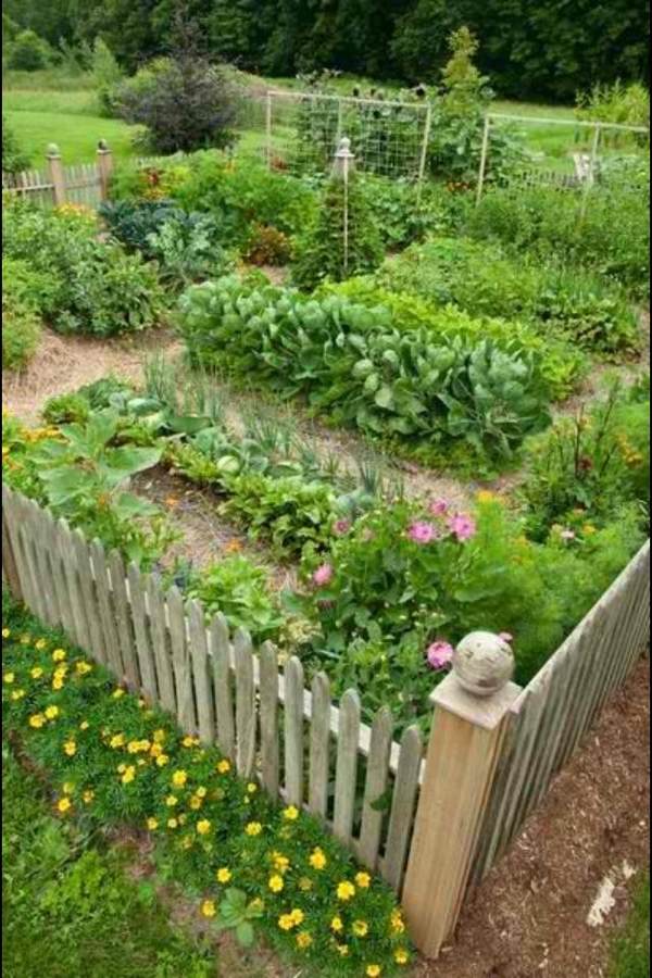 vegetable garden plans designs wooden fence garden paths