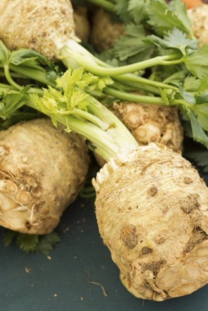 When And How To Harvest Horseradish Root