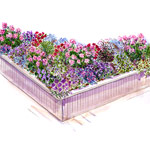 Flowery Deck Garden Plan