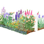 Colorful Front-Yard Cottage Garden Plan