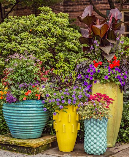 Container garden grouping