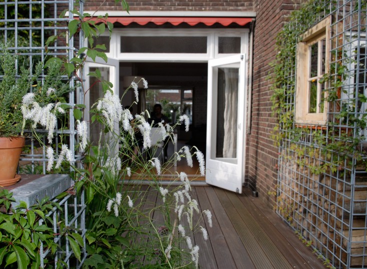 tiny-modern-garden-divided-into-bonus-rooms-4