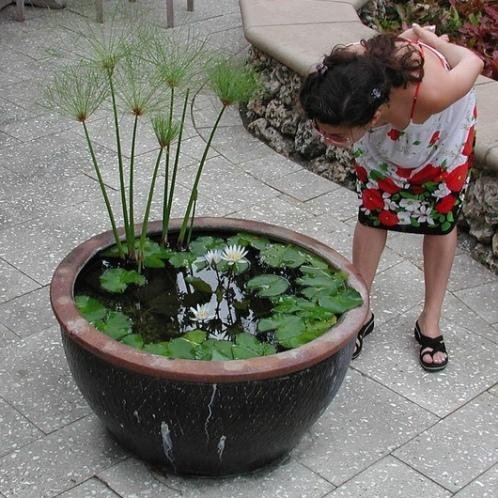 container pond (via apartmenttherapy)