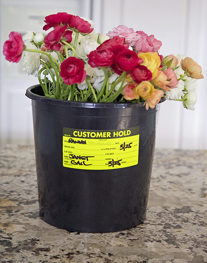 DIY Vintage Styled Rose Bucket From A Usual Florist One