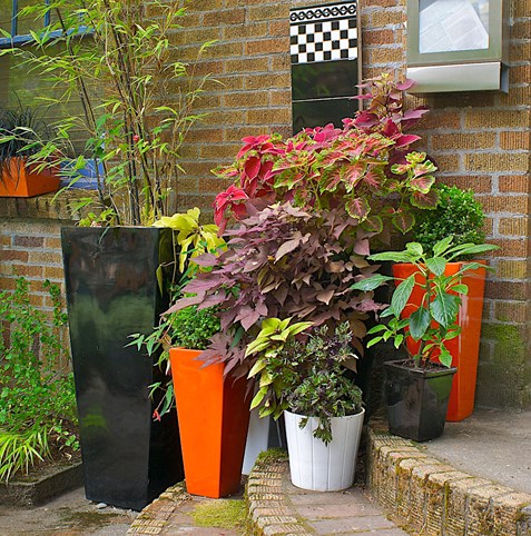 Shade Containers
Janet Loughrey
, 
